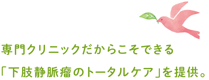 専門クリニックだからこそできる「下肢静脈瘤のトータルケア」を提供